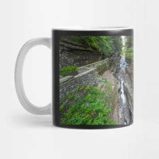 Ithaca NY Robert H. Treman State Park Canal Mug